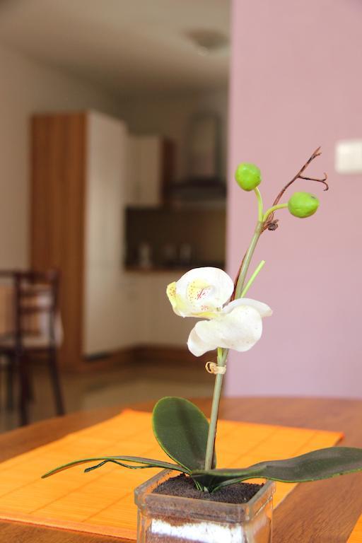 Vila Dravce Phòng bức ảnh
